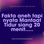 Fakta Aneh tapi Nyata Manfaat Tidur Siang 20 Menit Fakta Aneh tapi Nyata Manfaat Tidur Siang 20 Menit