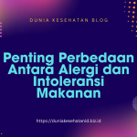 Penting Perbedaan Antara Alergi dan Intoleransi Makanan